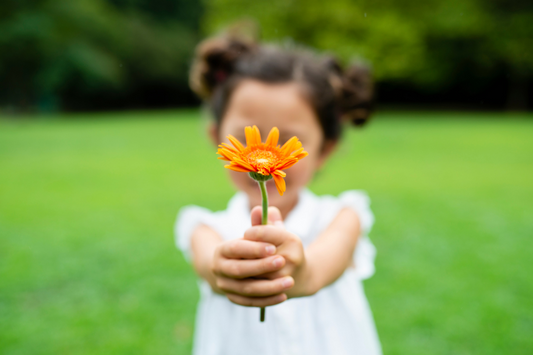 Little Girl with Pigtails Holding a Flower Daisy