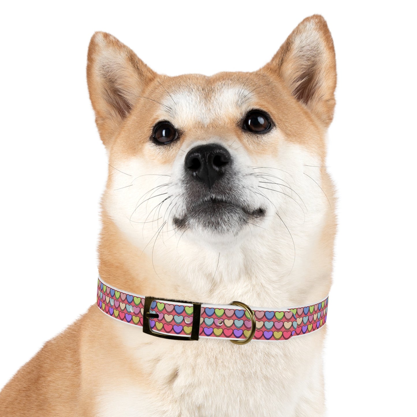 Candy Hearts Valentine's Day Hypoallergenic Dog Collar -Choose Buckle Finish