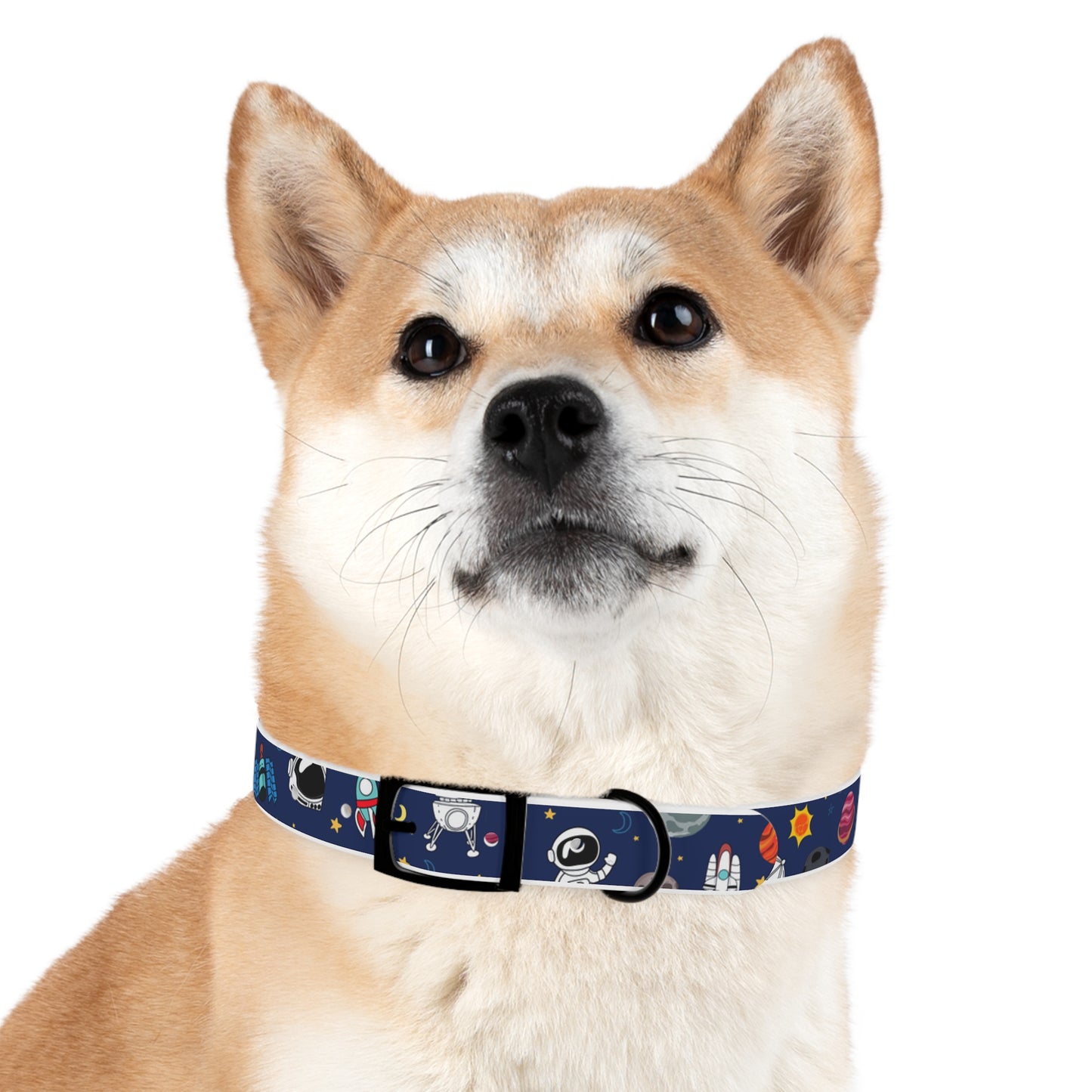 Out Of This World Space Print Hypoallergenic Dog Collar -Choose Size and Buckle Finish