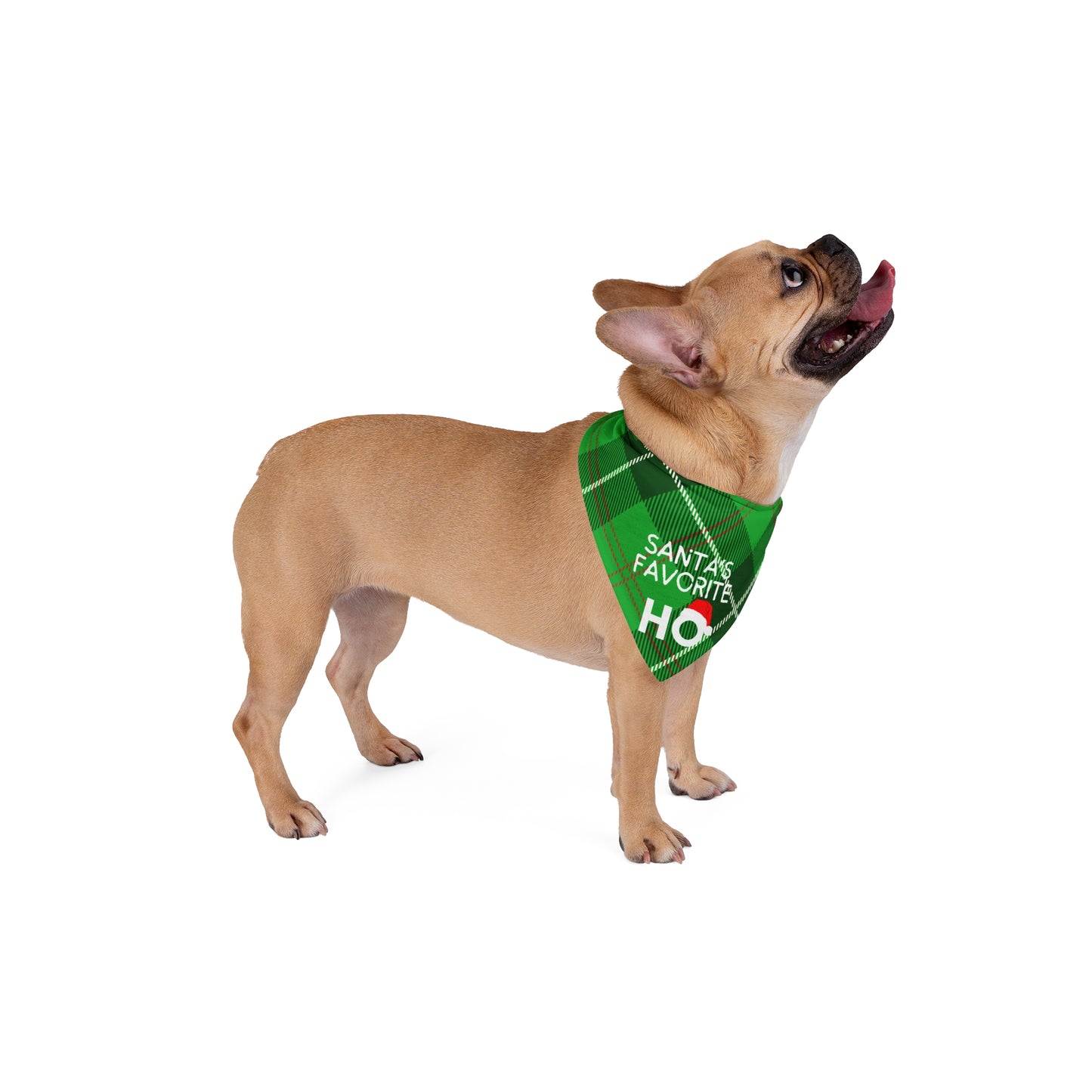 Santa's Favorite Ho Pet Bandana- 2 Sizes for Dogs and Cats