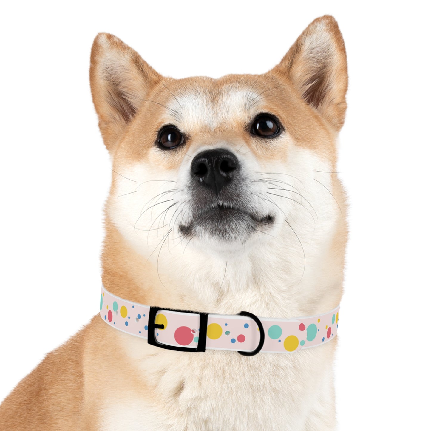 Pawlished PolkaDot Hypoallergenic Pup Dog Collar -Choose Size and Buckle Finish