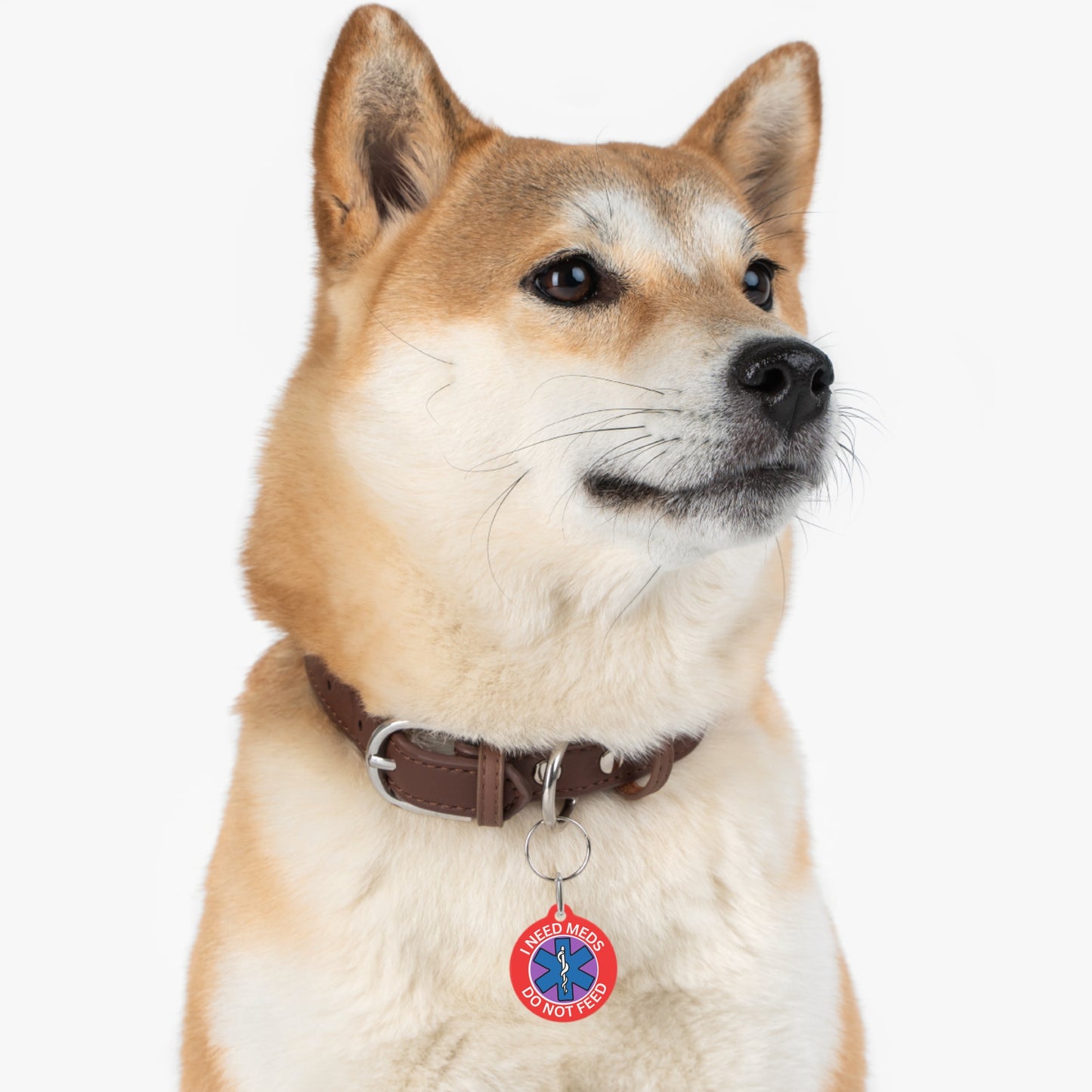 Medical Alert Dog and Cat Personalized  Pet Tag Tag