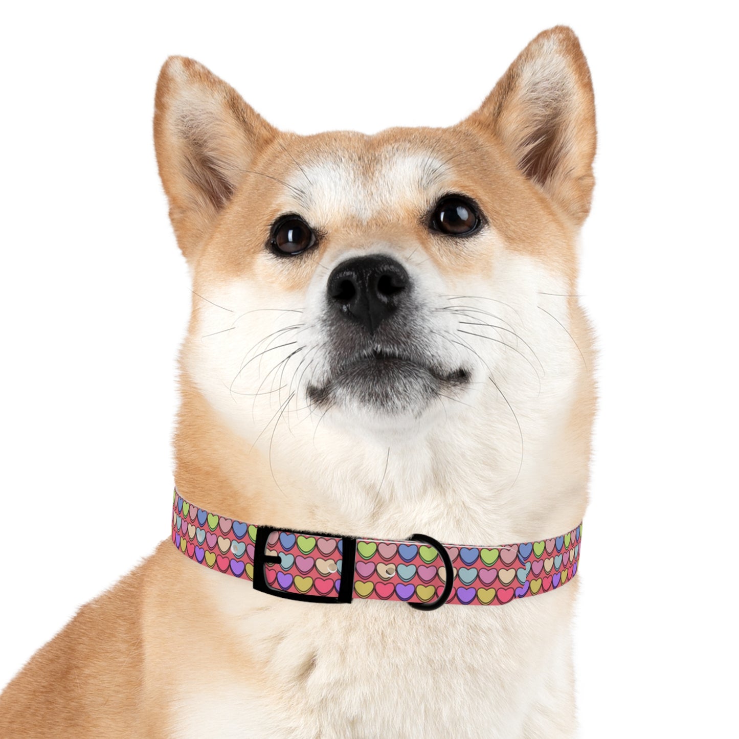 Candy Hearts Valentine's Day Hypoallergenic Dog Collar -Choose Buckle Finish