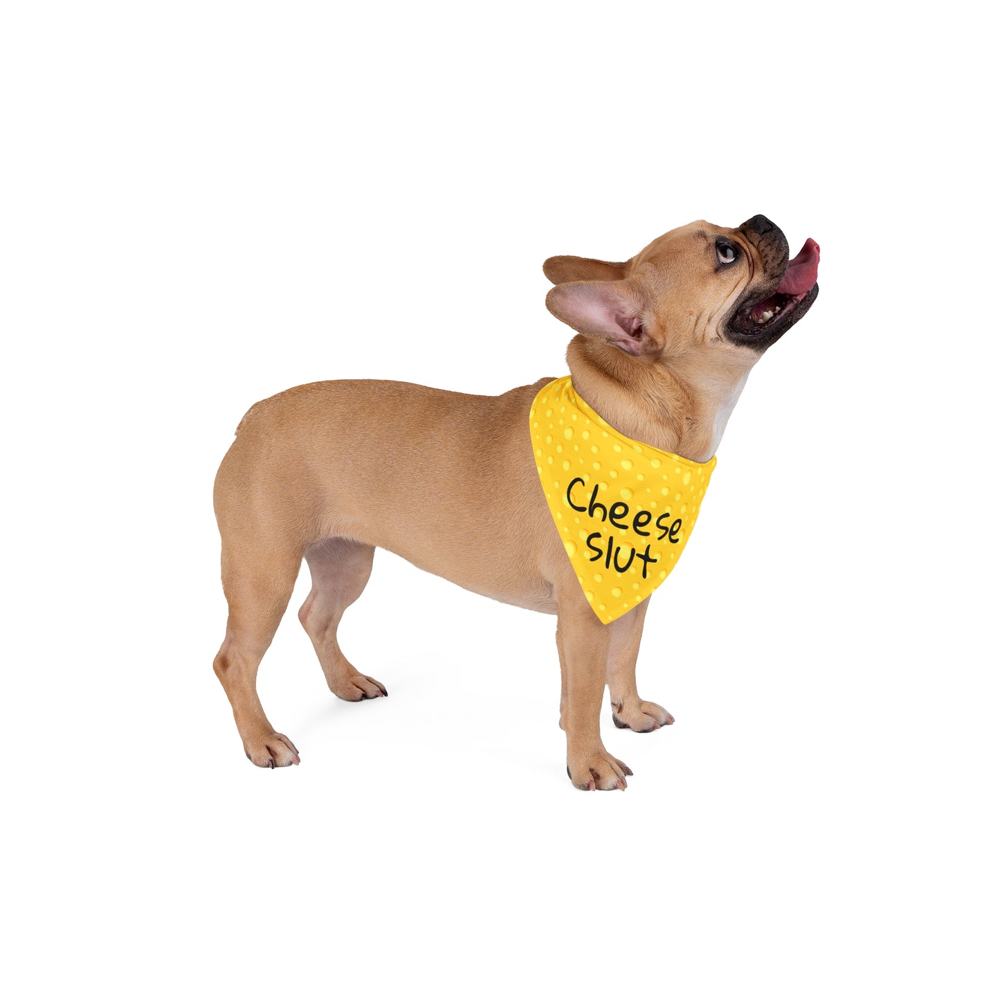 Cheese Slut Pet Bandana for Dogs and Cats- 2 Sizes Tiktok