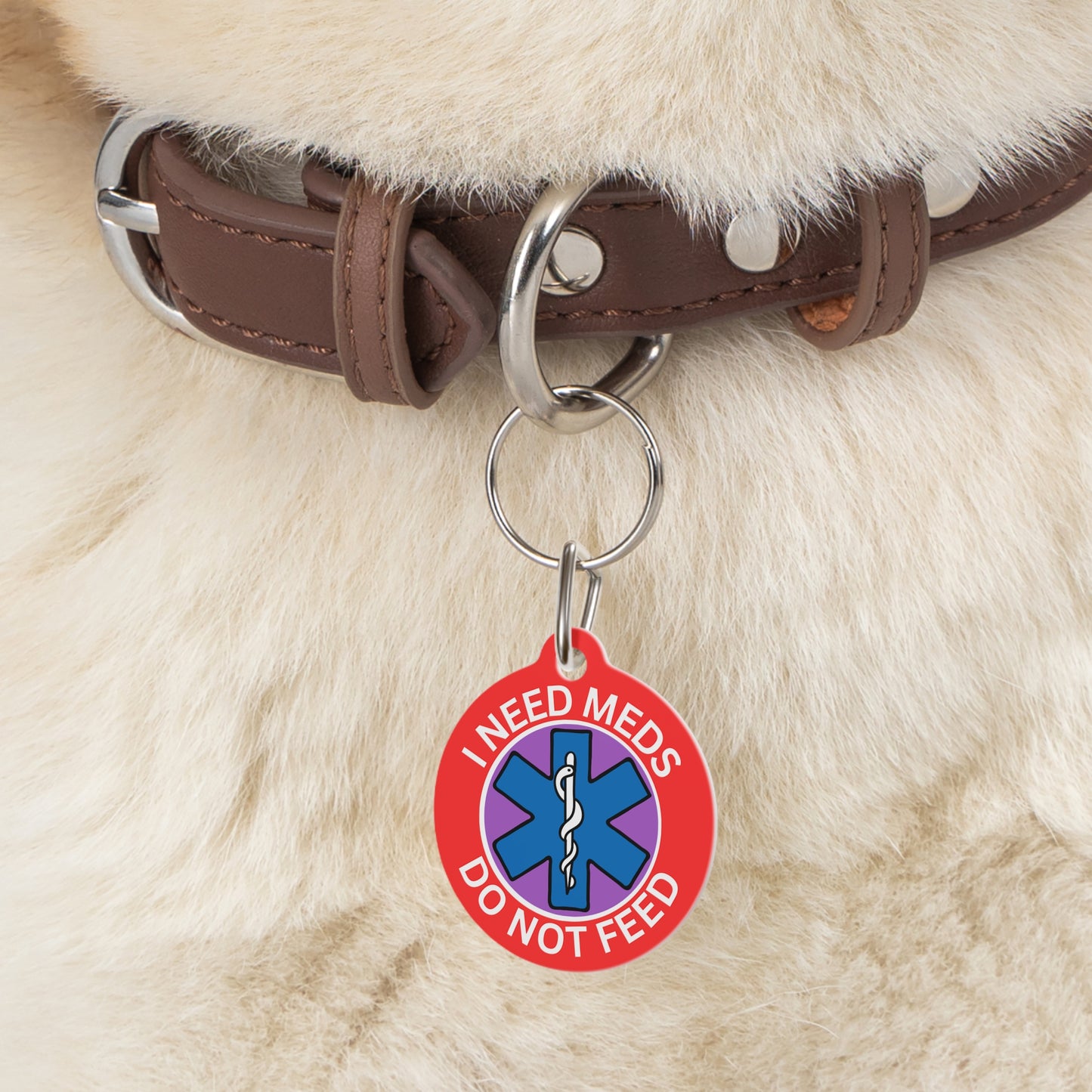 Medical Alert Dog and Cat Personalized  Pet Tag Tag