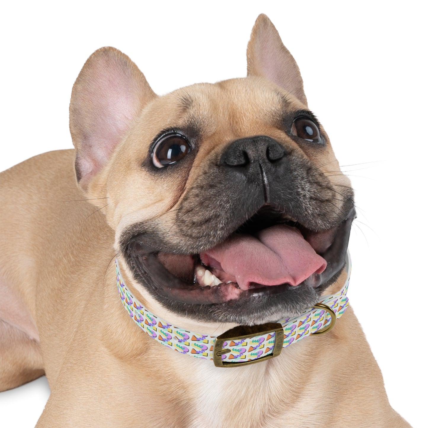 90s Kid Geometric Hypoallergenic Dog Collar -Choose Buckle Finish