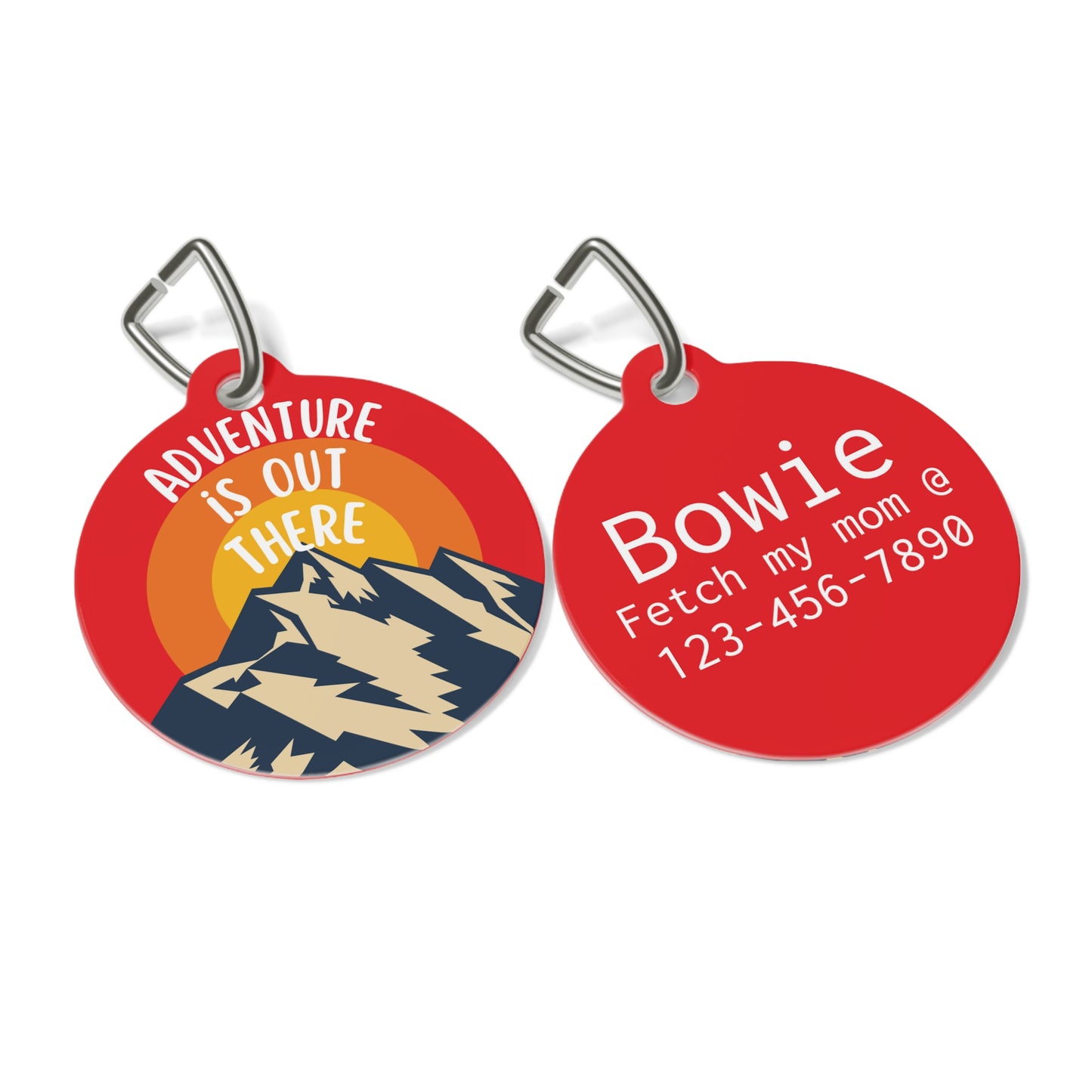 Adventure is Out There Personalized  Pet Tag Tag