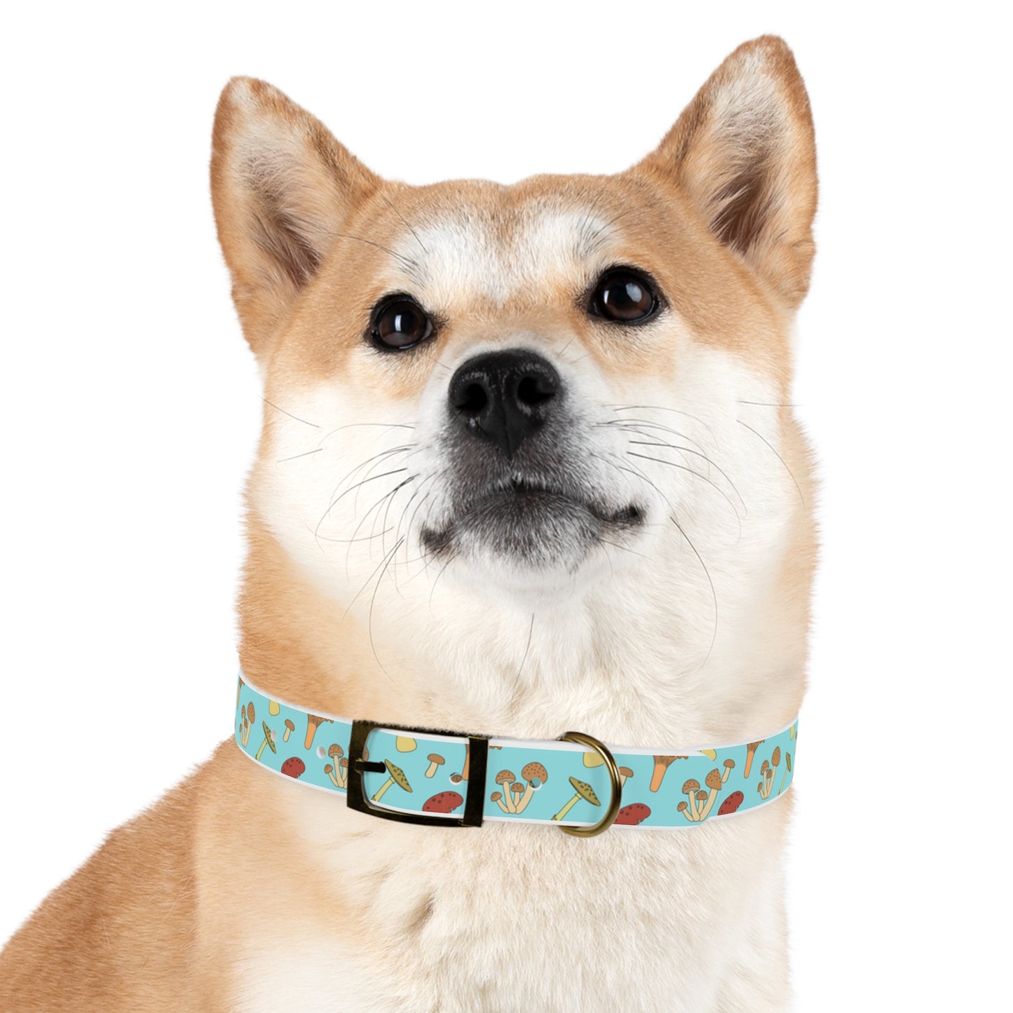 Trippy Mushroom Print Dog Collar