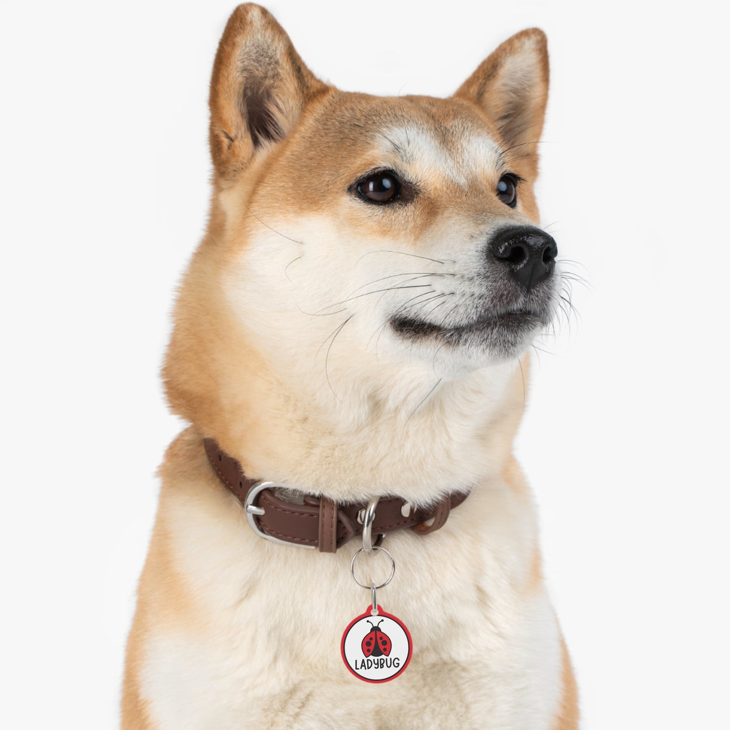 Bug Personalized Pet ID Tag for Dogs and Cats
