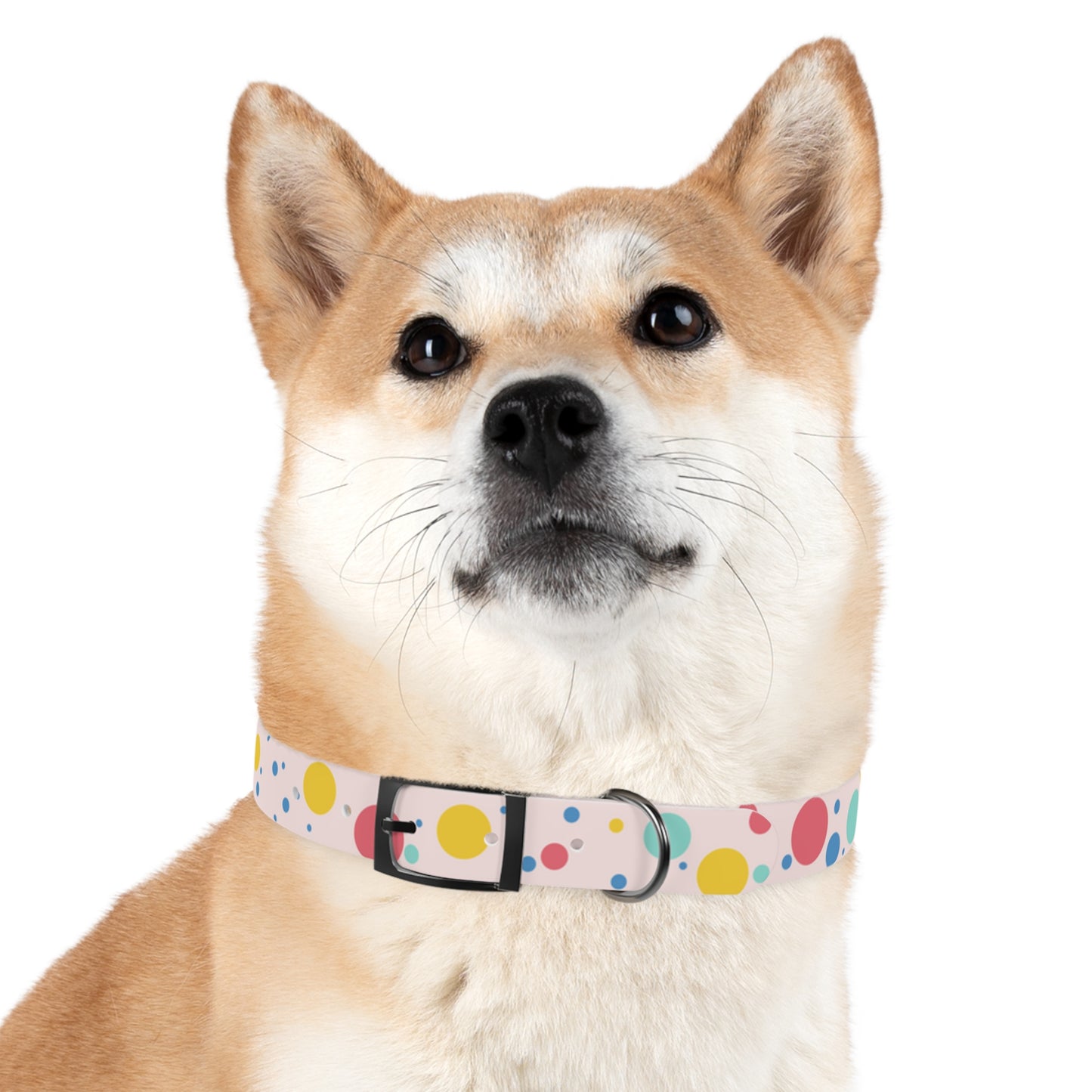 Pawlished PolkaDot Hypoallergenic Pup Dog Collar -Choose Size and Buckle Finish