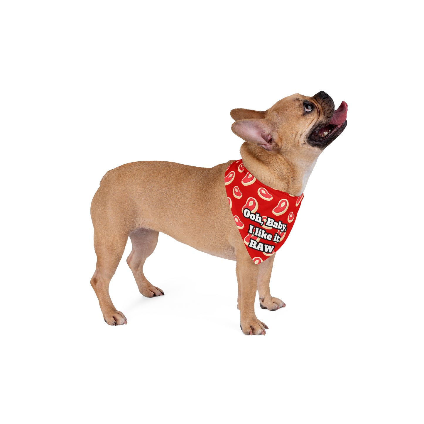 Raw Fed  Dog Funny Pet Bandana- 2 Sizes