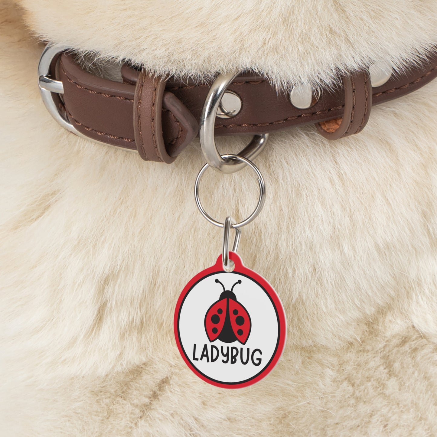 Bug Personalized Pet ID Tag for Dogs and Cats