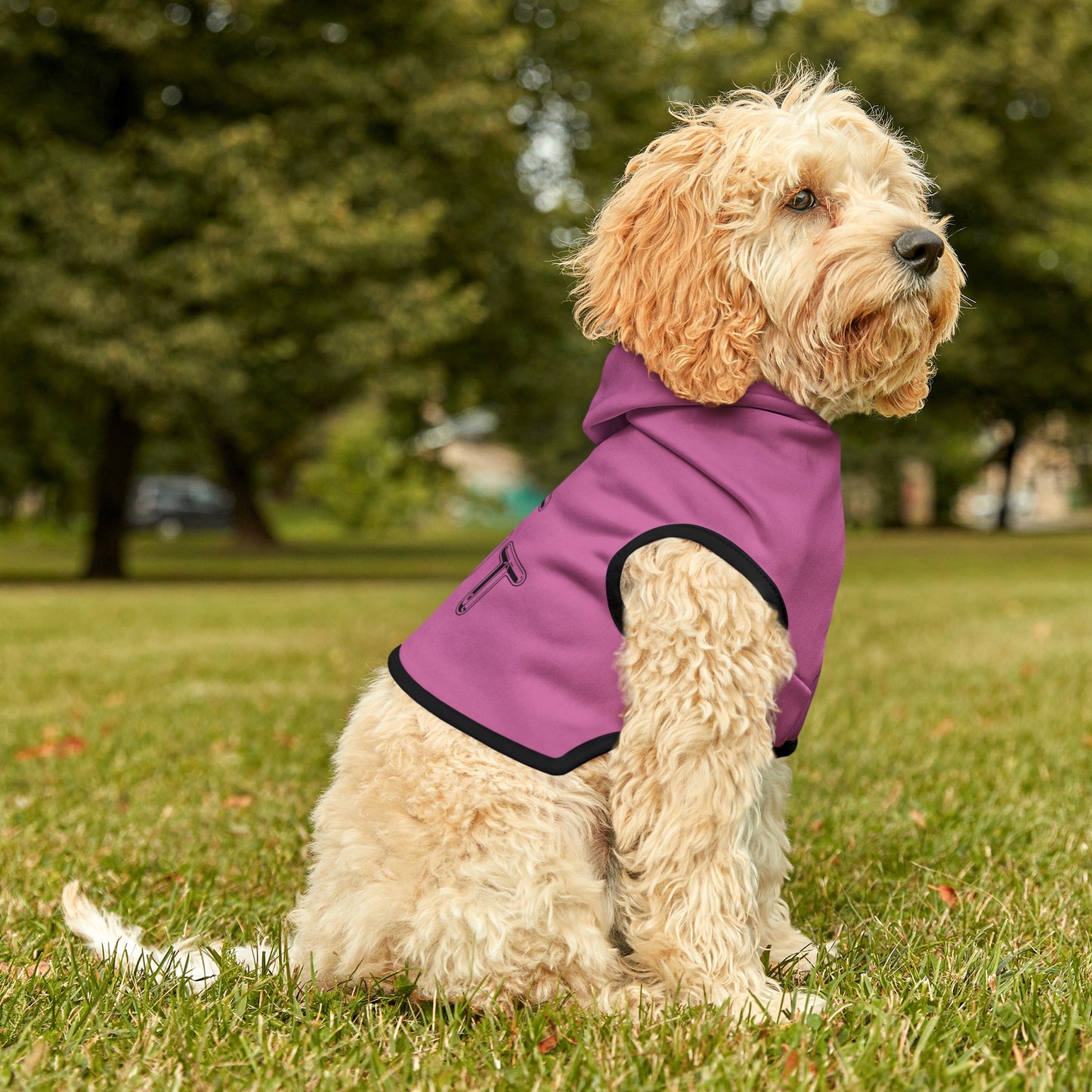 Lil Slut Funny Hoodie Shirt for Cats or Dogs