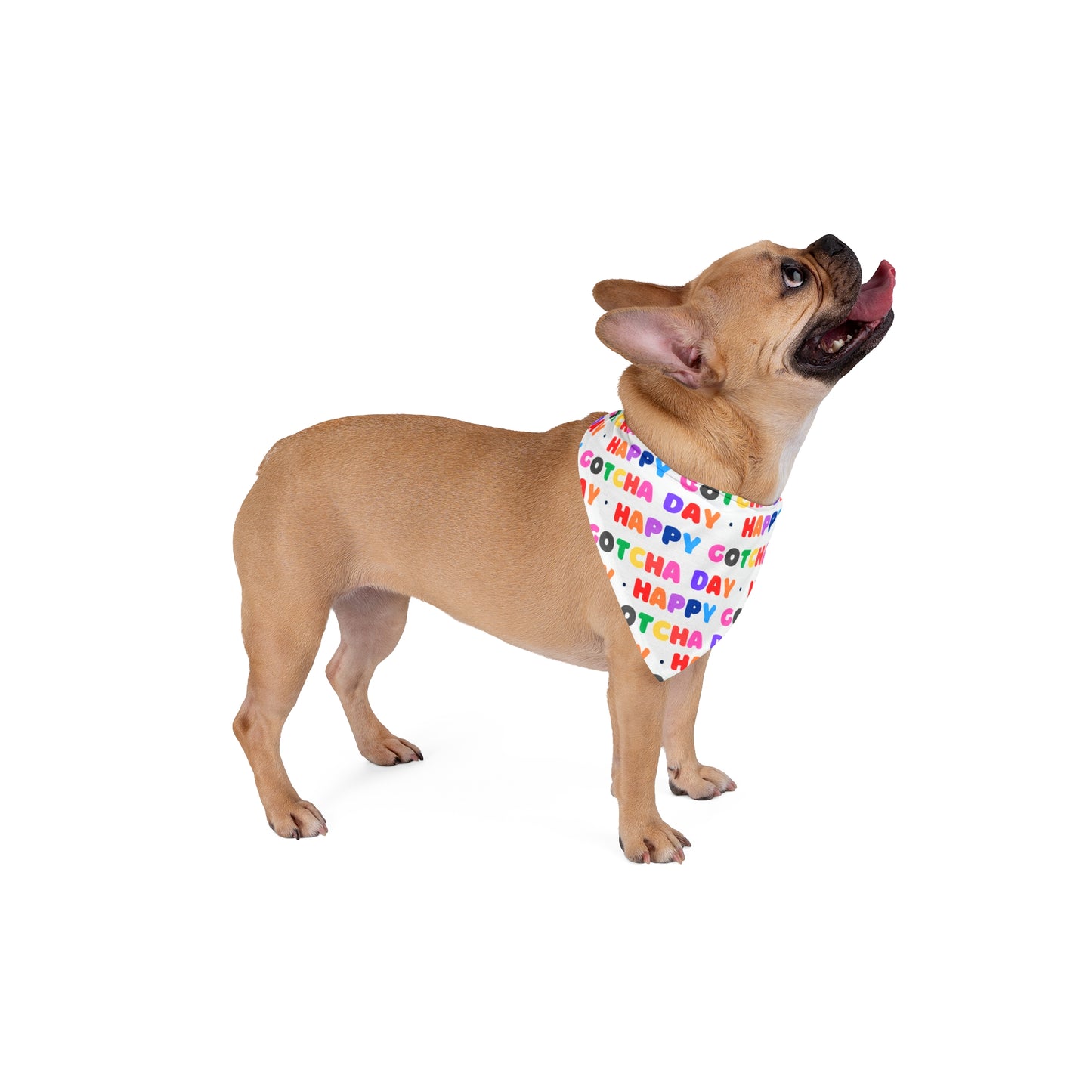 Happy Gotcha Day Pet Birthday Adoption Bandana for Dogs and Cats- 2 Sizes