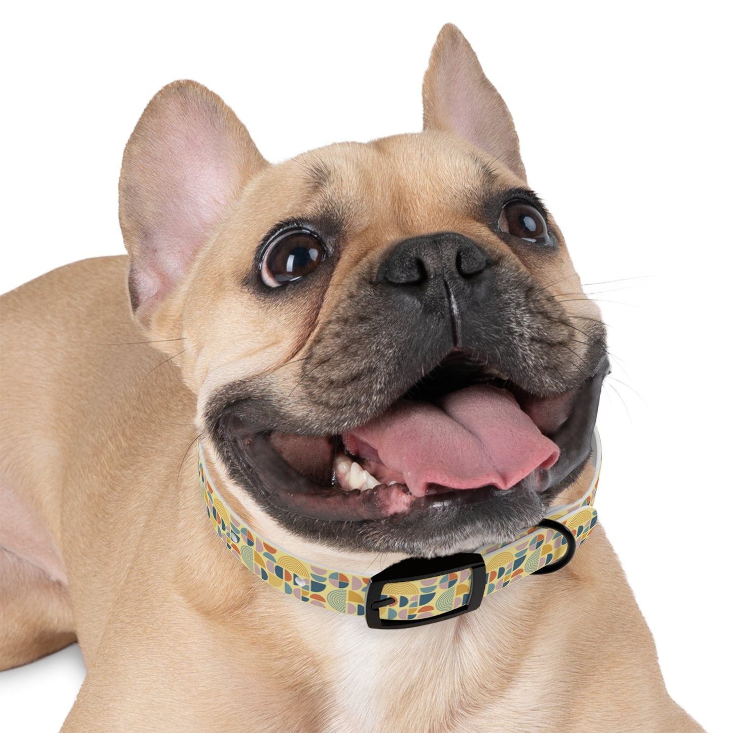 Atomic Pattern Dog Collar -Choose Buckle Finish