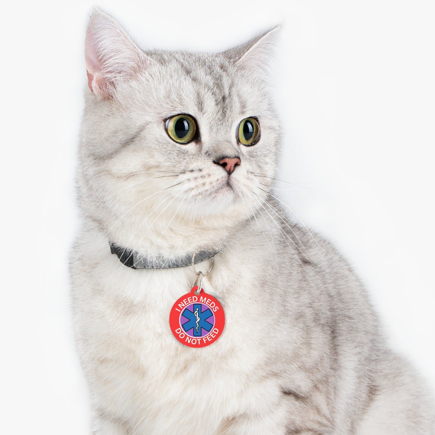 Medical Alert Dog and Cat Personalized  Pet Tag Tag