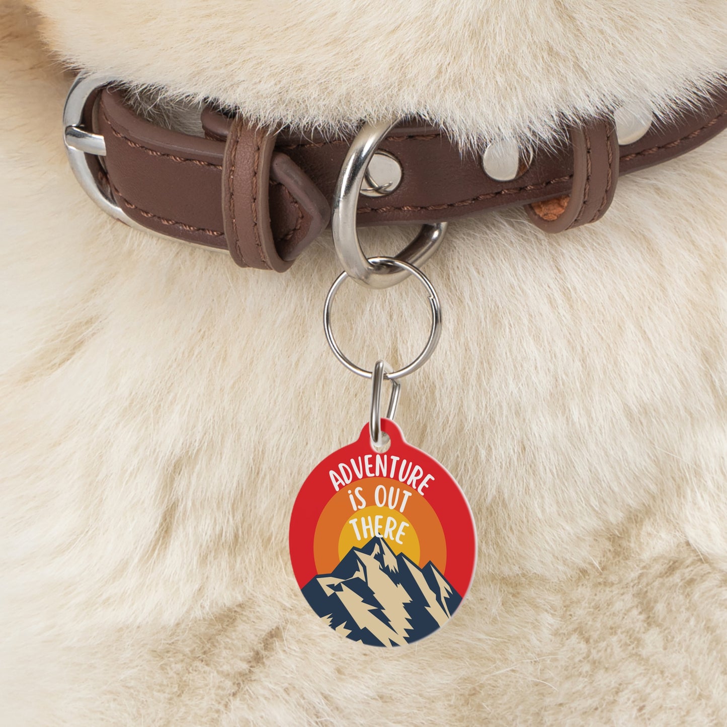 Adventure is Out There Personalized  Pet Tag Tag