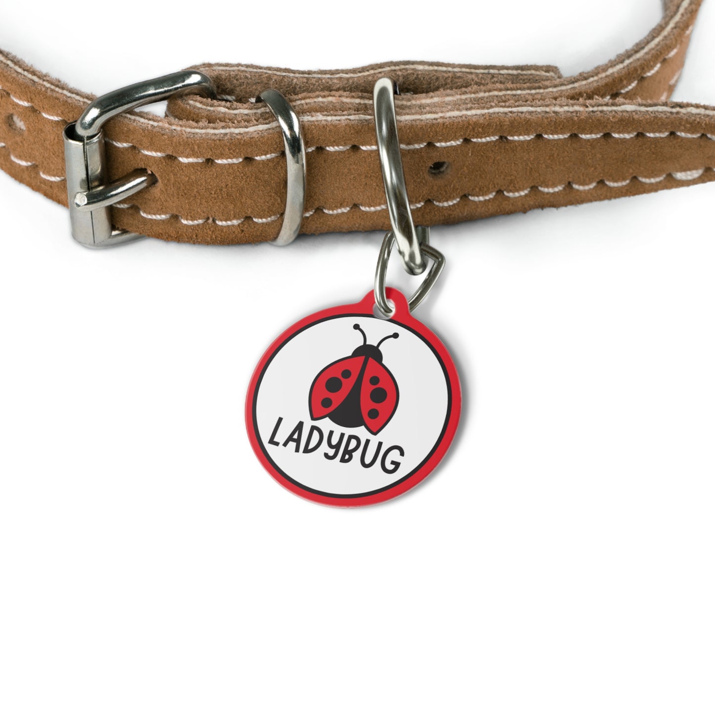 Bug Personalized Pet ID Tag for Dogs and Cats