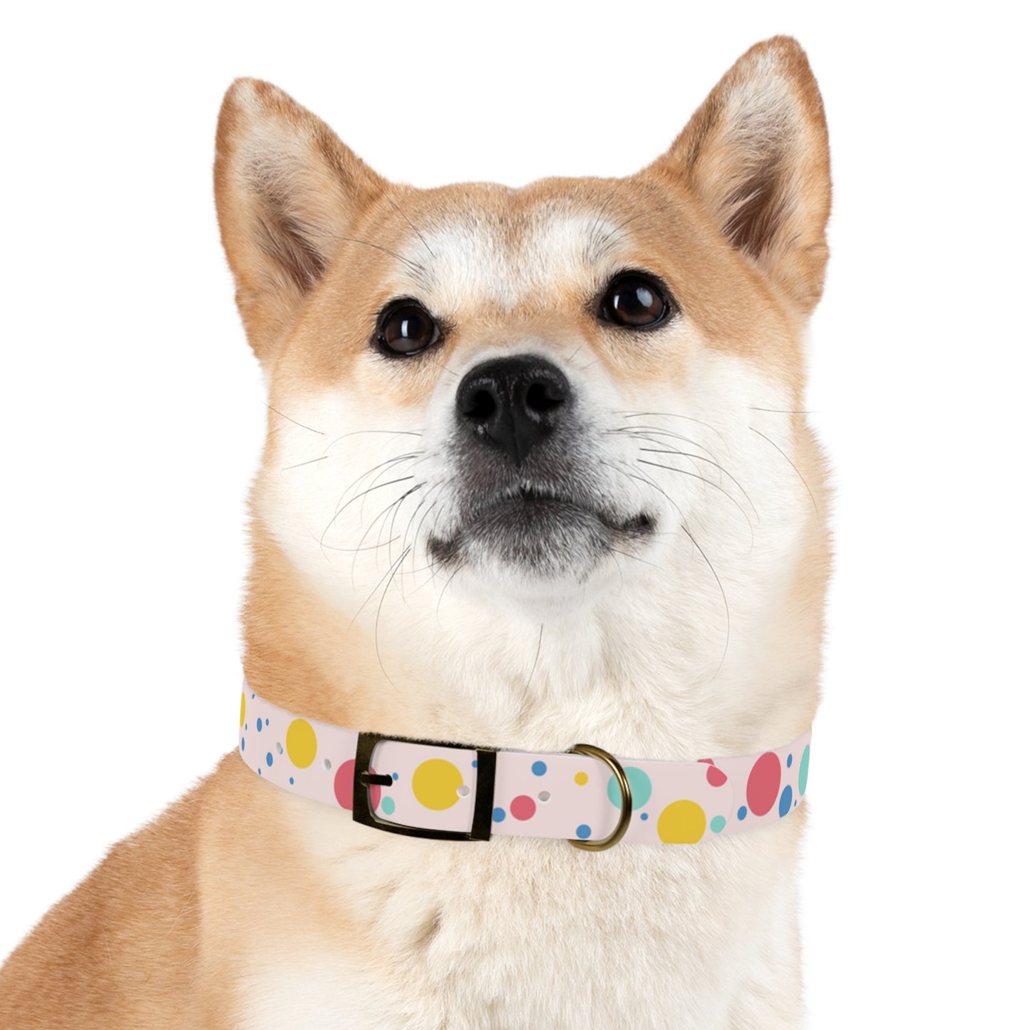 Pawlished PolkaDot Hypoallergenic Pup Dog Collar -Choose Size and Buckle Finish