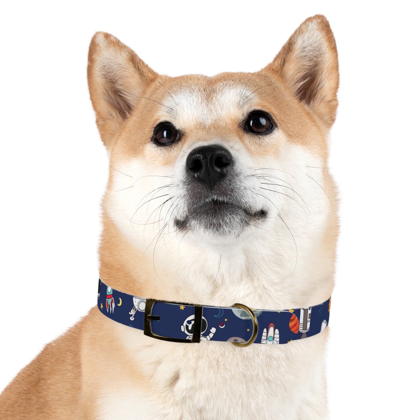 Out Of This World Space Print Hypoallergenic Dog Collar -Choose Size and Buckle Finish