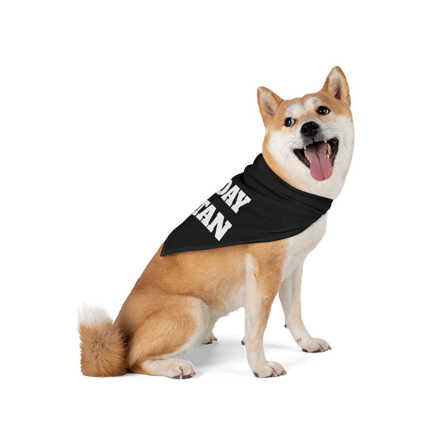 Today Satan Funny Dog and Cat Pet Bandana- 2 Sizes