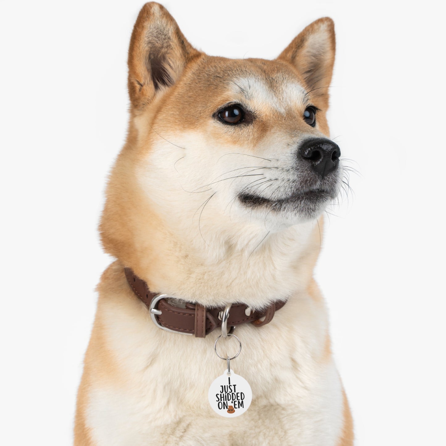 Shidded on Em Personalized Pet Tag Tag