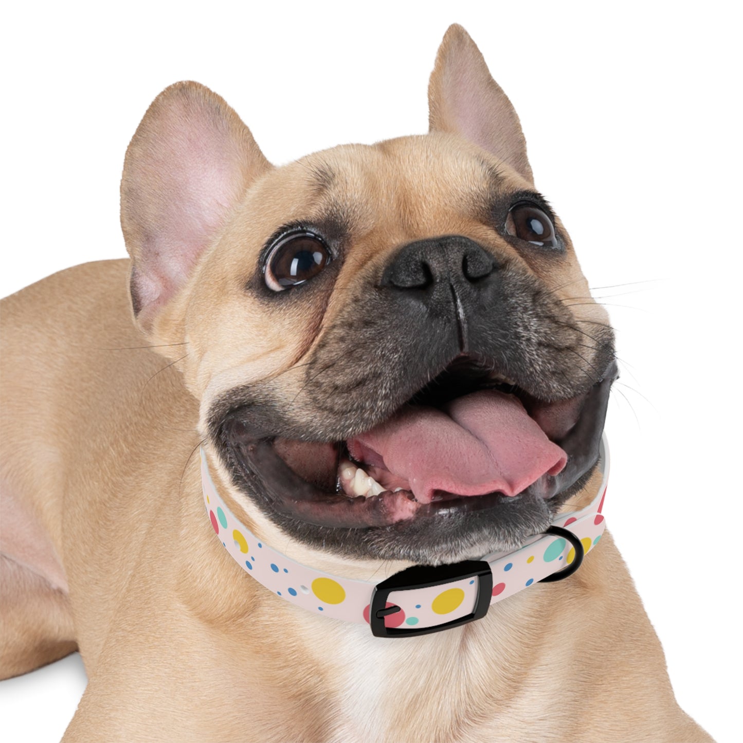 Pawlished PolkaDot Hypoallergenic Pup Dog Collar -Choose Size and Buckle Finish