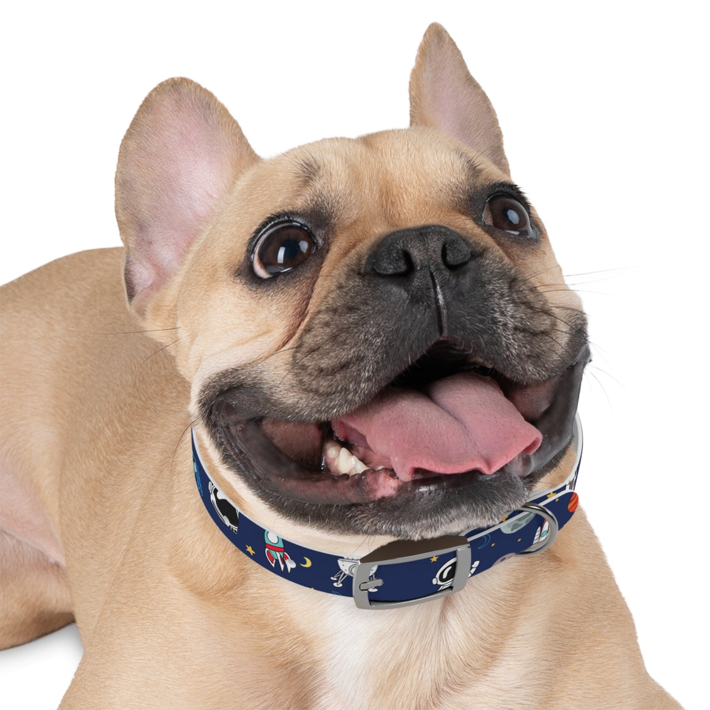 Out Of This World Space Print Hypoallergenic Dog Collar -Choose Size and Buckle Finish