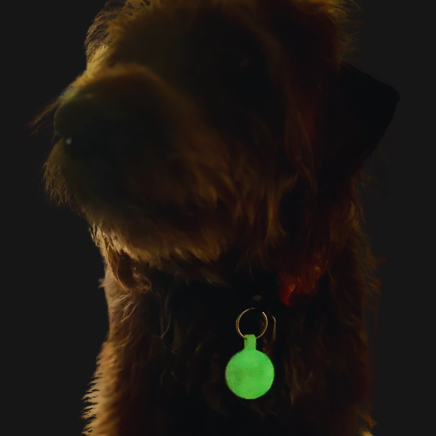 Disco Ball Party Dog or Cat ID Pet Tag with Optional Personalization