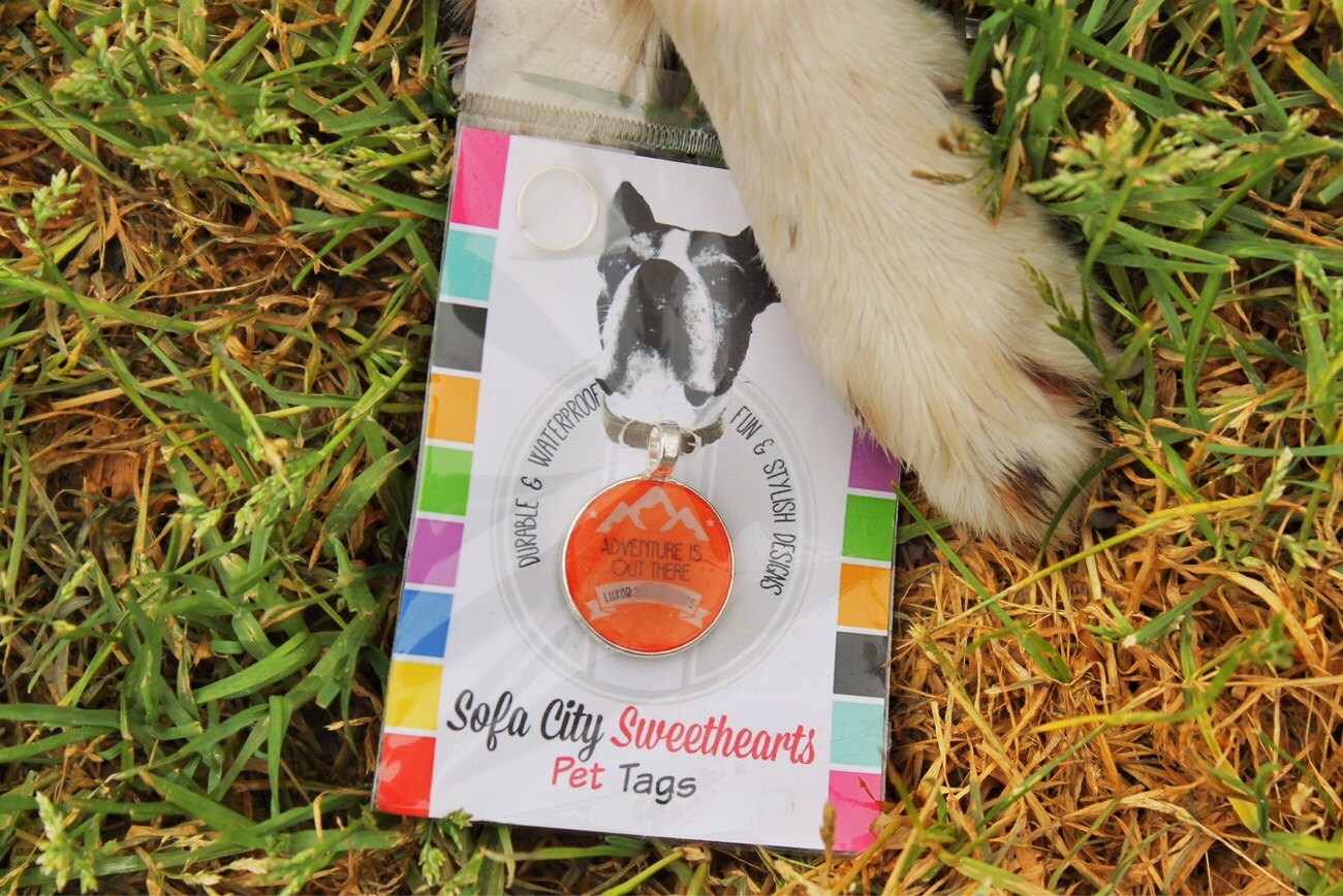 Happy Penguins Custom Pet ID Tag