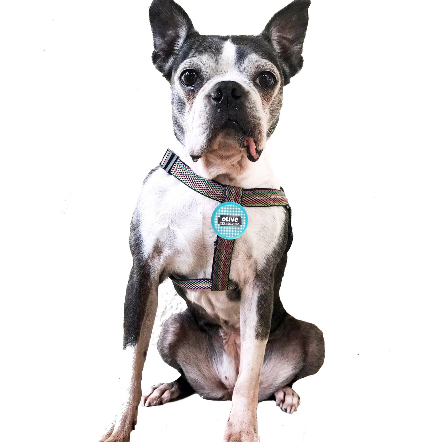 Personalized Gingham Twist-On Dog Tag, Dog Name Tag, Dog Name Tag Cute, Dog Name Tag, Dog Name Tag Collar, Silver Dog Tag Charm, ID