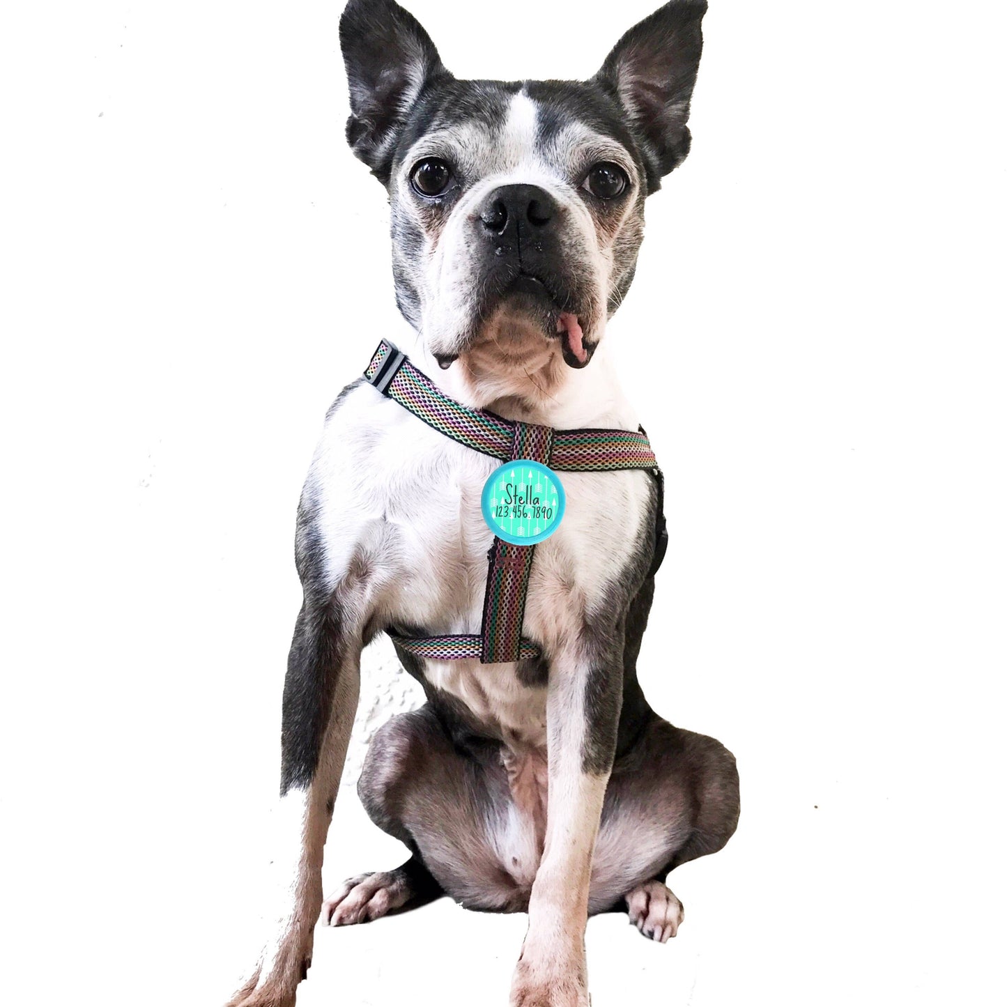 Boho Arrows TWIST TAG- Silent, Eco-Friendly, Ringless ID Tag for Cats and Dogs.