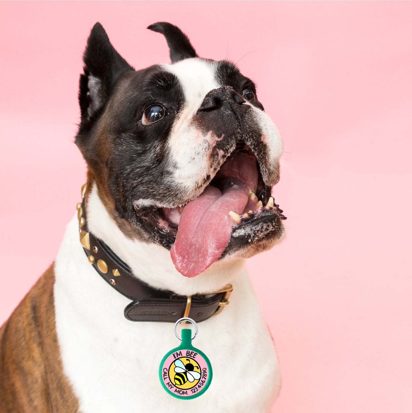 Buzzy Bee- Eco-Friendly & Silent Pet ID Tag for cats and dogs
