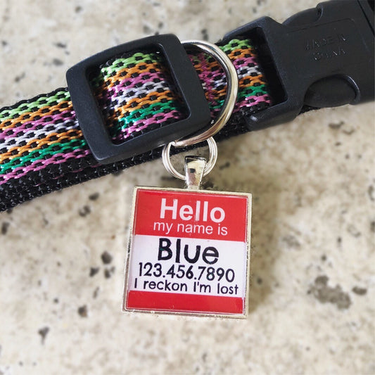 Personalized Dog ID Pet Tag  "Hello My Name Is" Custom Pet Tag You Choose Tag Size & Colors