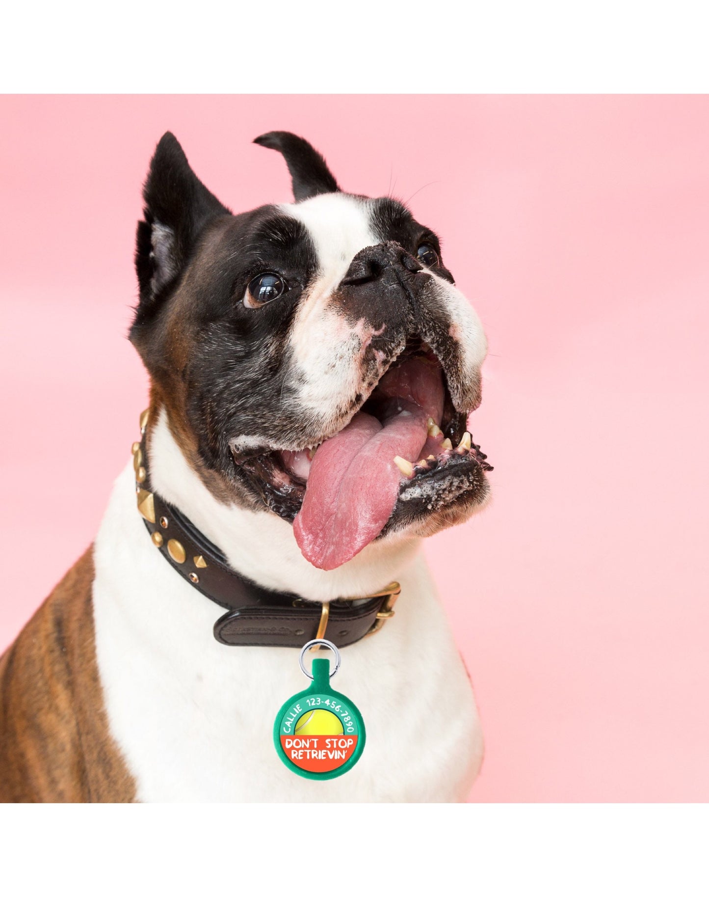 Don't Stop Retrievin' Personalized Dog ID Pet Tag Custom Pet Tag You Choose Tag Size & Colors