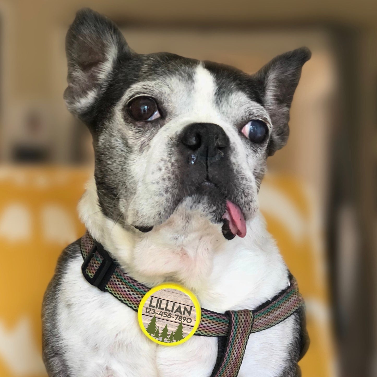 Cute Outdoorsy Pet ID • Silent Pet ID • Twist On Tag Silent, Eco-Friendly, Ringless twist-on Wood ID Tag for Cats and Dogs Trees Mountain