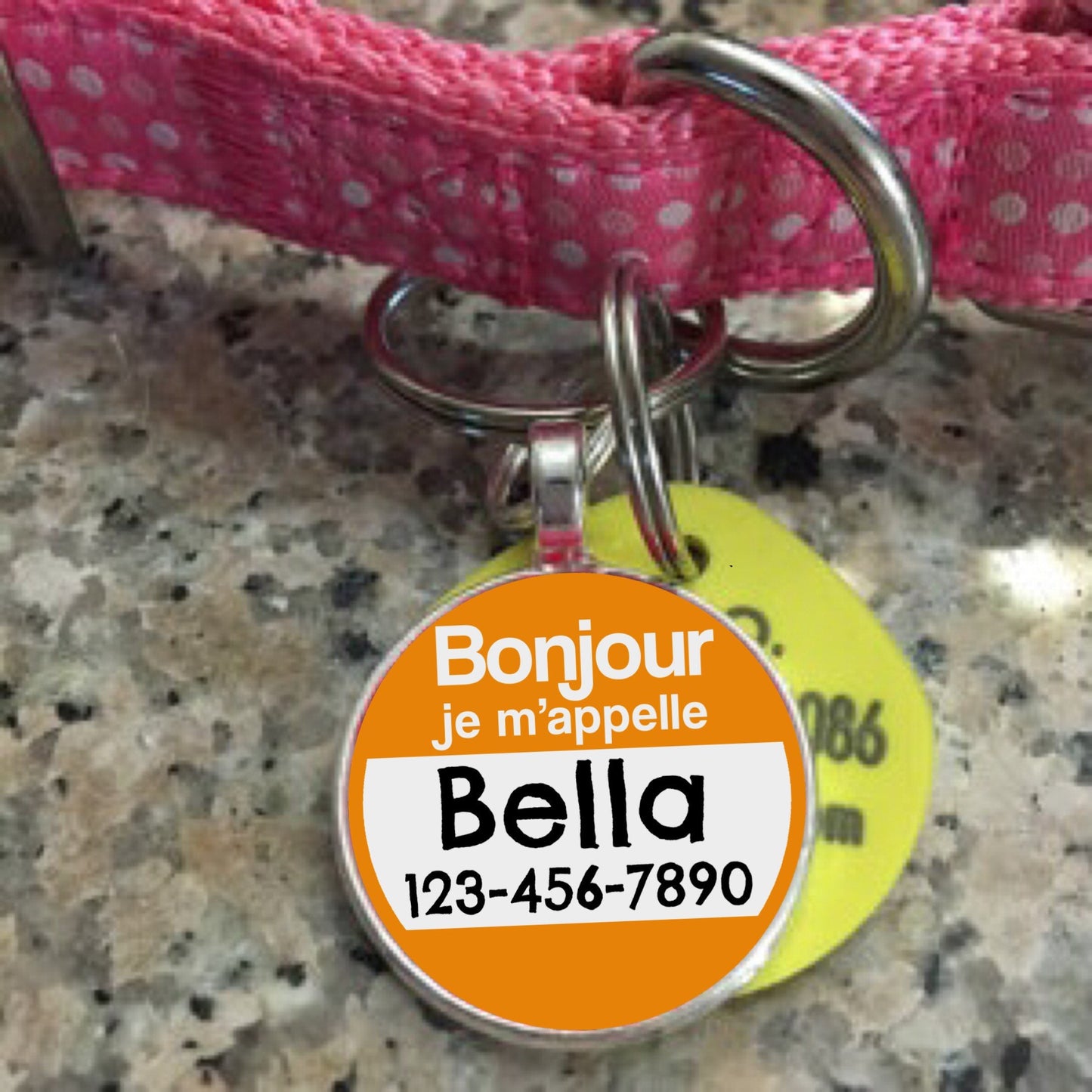 The Original Bonjour "Hello My Name Is" Silver Pet ID Tag -As Seen In Modern Dog Magazine