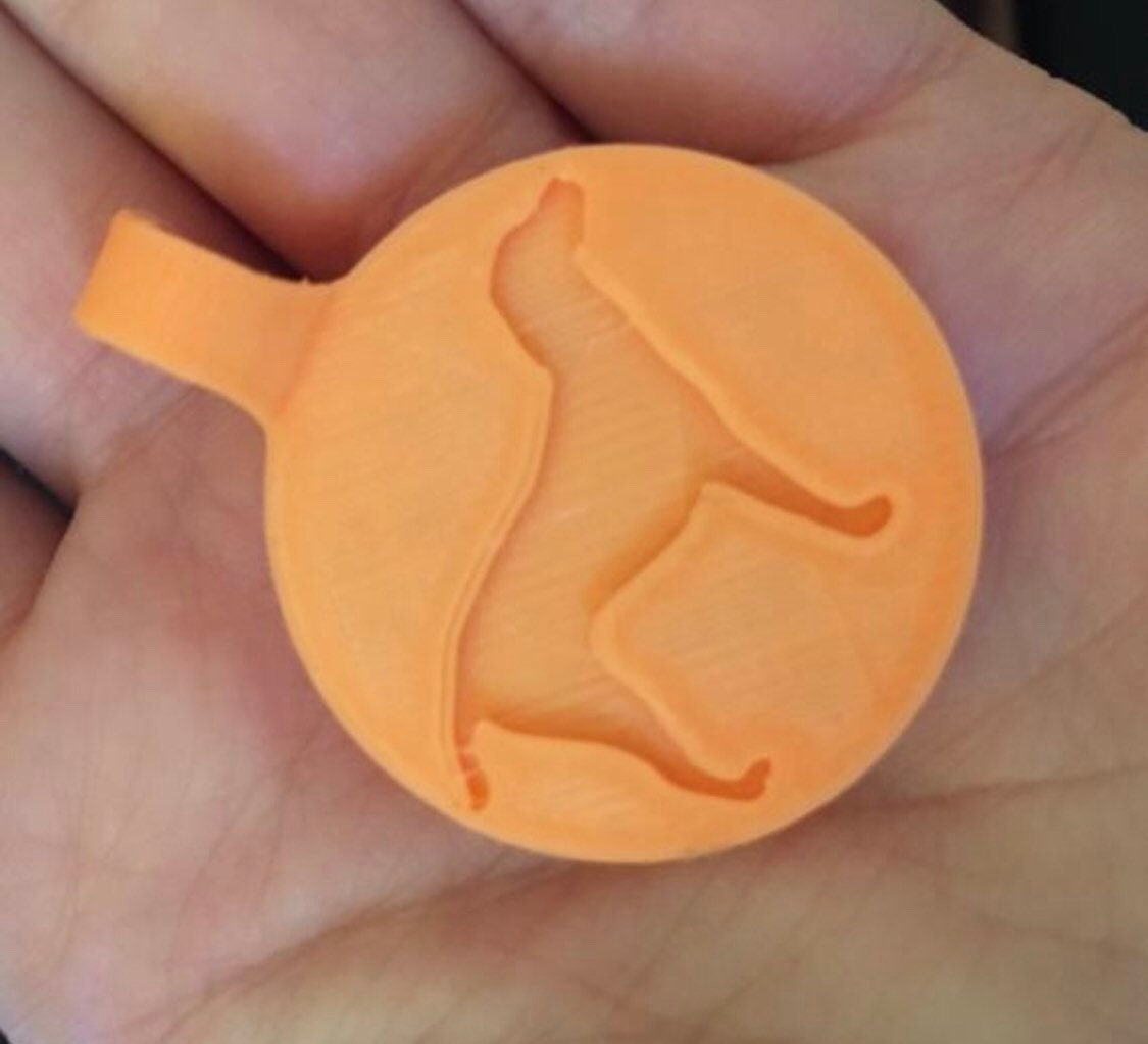 Rainbow Eco-Friendly Scannable QR ID Tag for Cats and Dogs- Powered by PetHub. Free Online Pet Profile pride