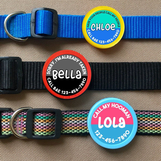 2 Tone Color TWIST TAG- rounded text- Silent, Eco-Friendly, Ringless & Silent ID Tag for Cats and Dogs Cute Dog Tag