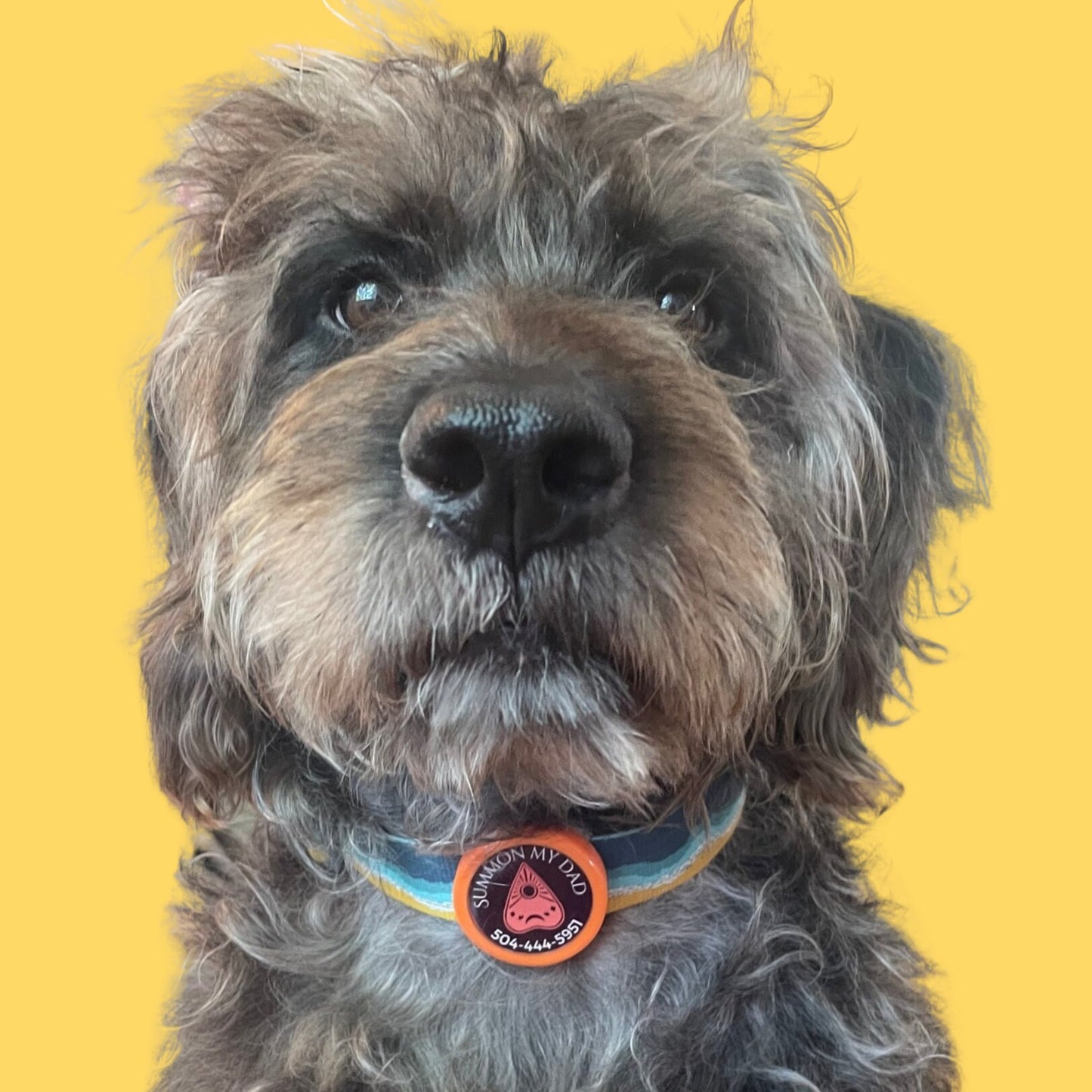 Ouija Pet ID Tag for Dogs and Cats - Summon My Mom or Dad Halloween