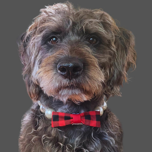 Dog Collar Bow Tie Accessory Red Plaid