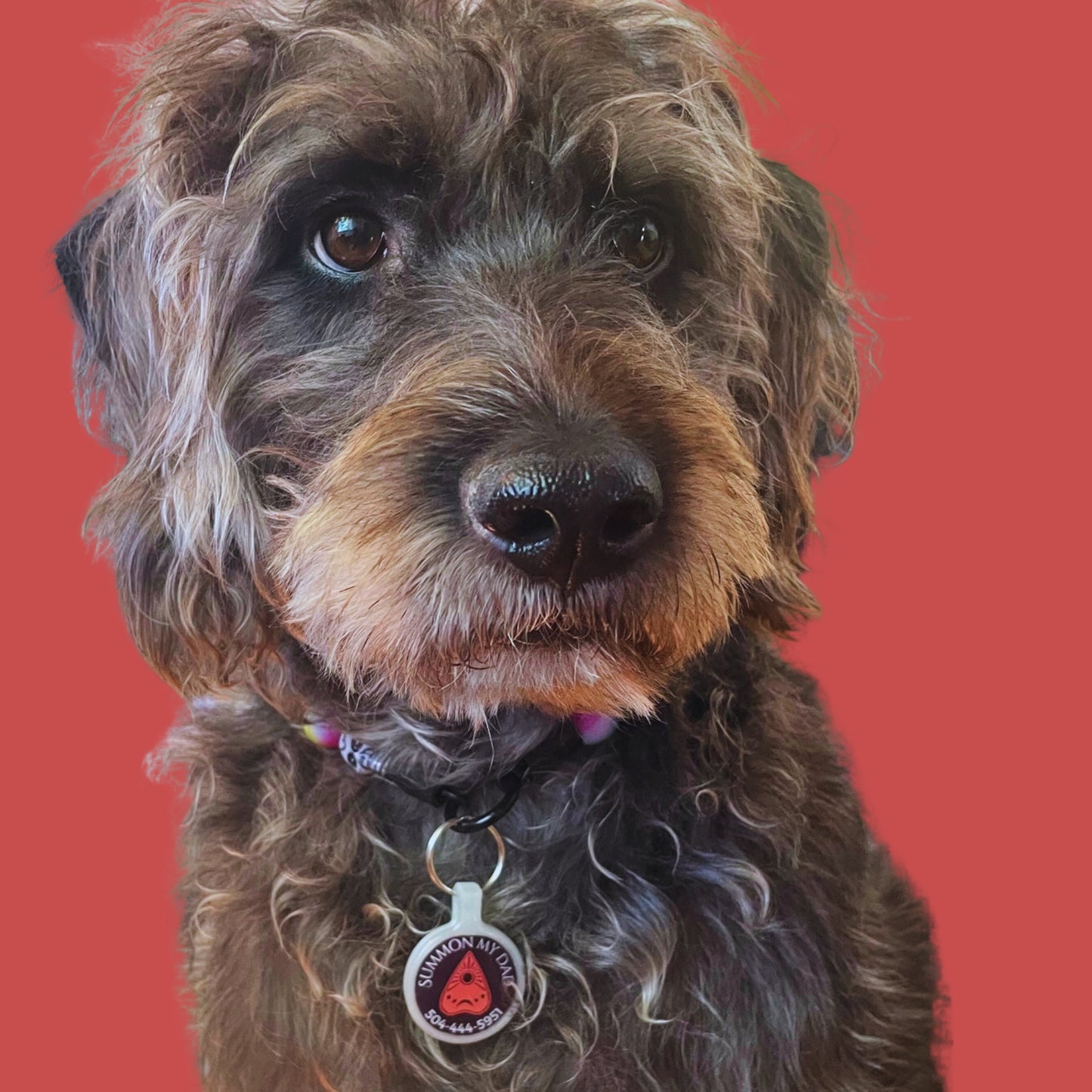 Ouija Halloween Pet ID Tag for Dogs and Cats