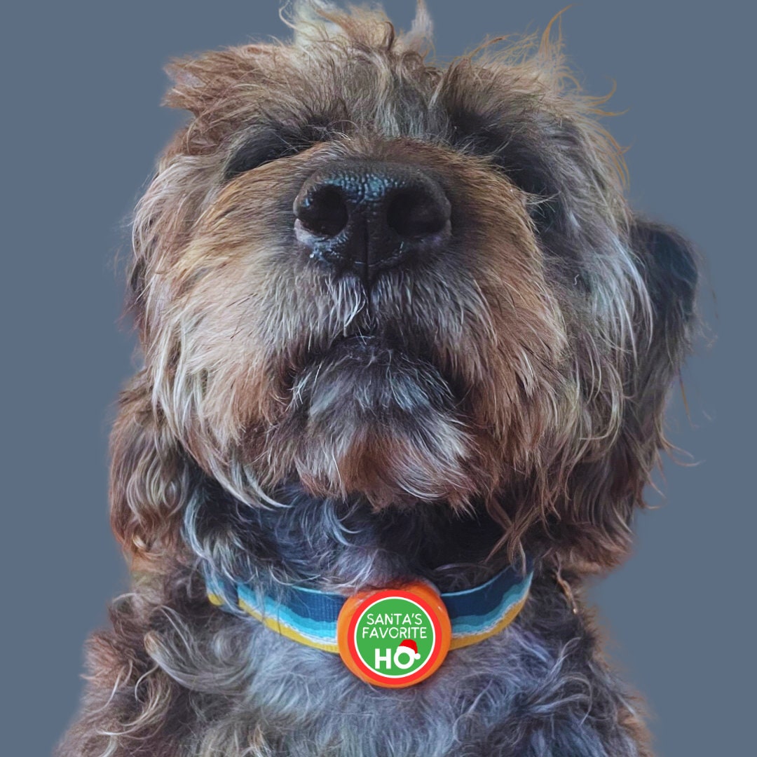 Santa's Favorite Ho Christmas Pet Tag- Silent, Eco-Friendly, Ringless ID Tag for Cats and Dogs