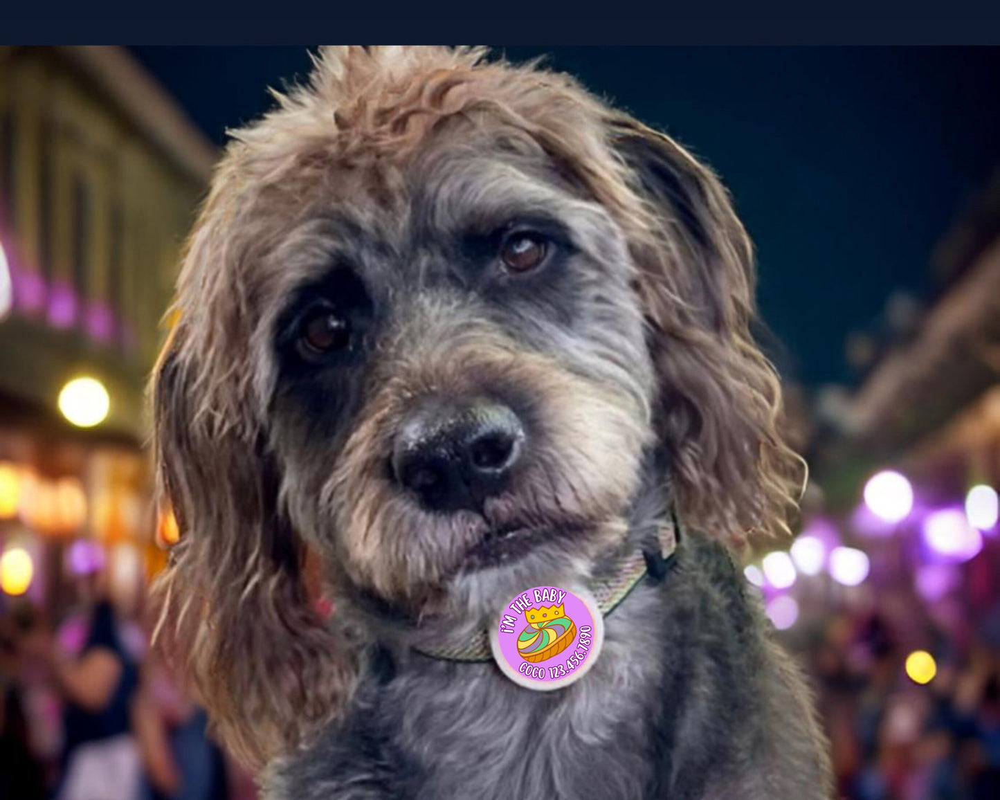 Mardi Gras King Cake Silent, Eco-Friendly, Ringless ID Tag for Cats and Dogs