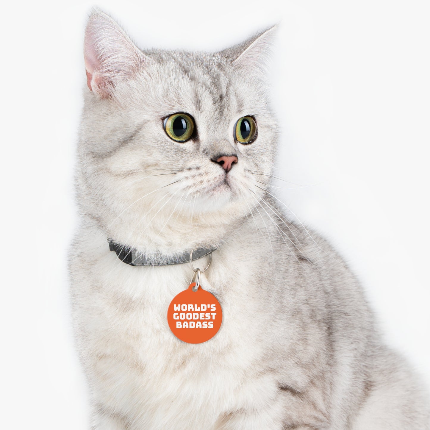 World's Goodest Badass Funny Personalized  Pet Tag for Dogs and Cats