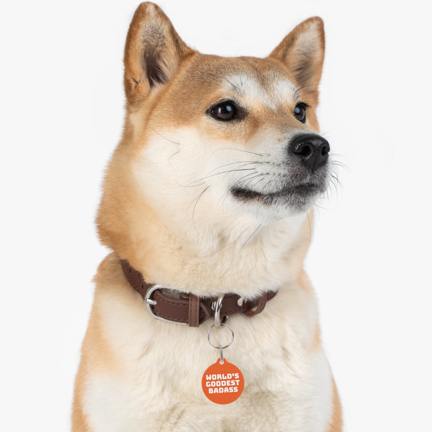 World's Goodest Badass Funny Personalized  Pet Tag for Dogs and Cats