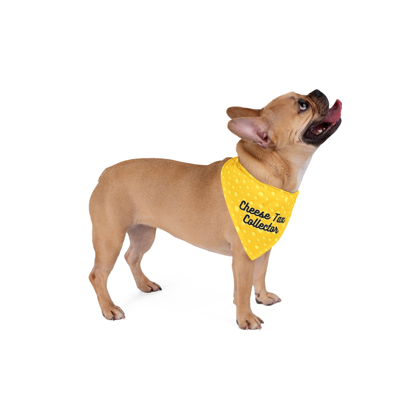 Cheese Tax Collector Pet Bandana for Dogs and Cats- 2 Sizes Tiktok