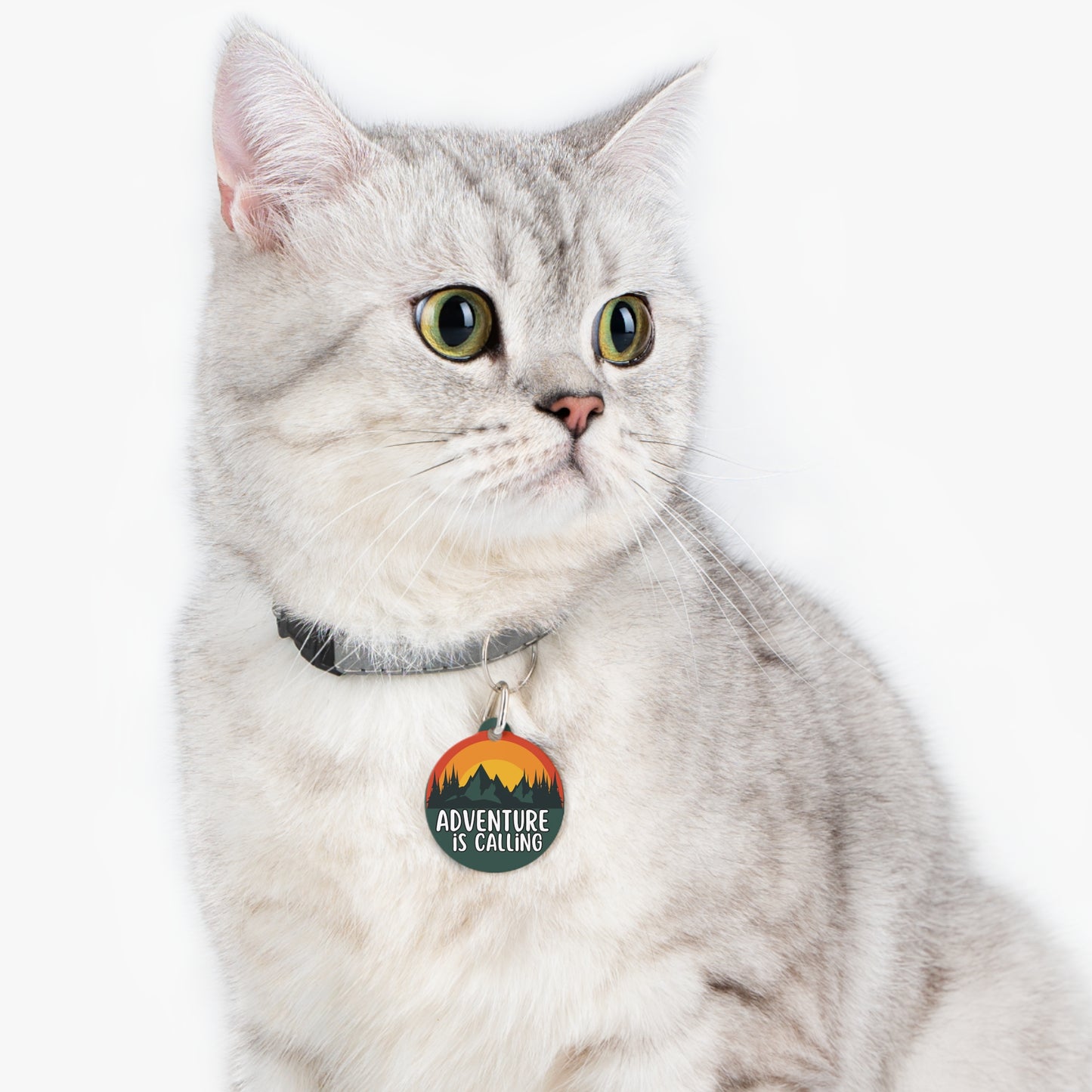 Adventure is Calling Personalized  Pet Tag Tag