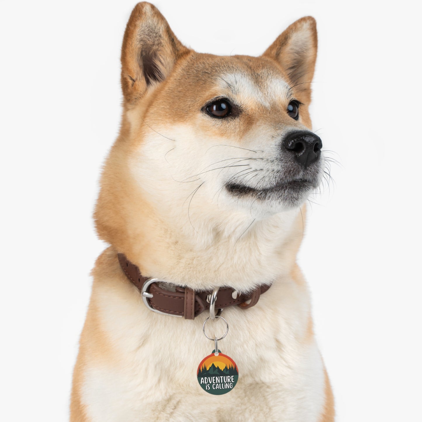 Adventure is Calling Personalized  Pet Tag Tag
