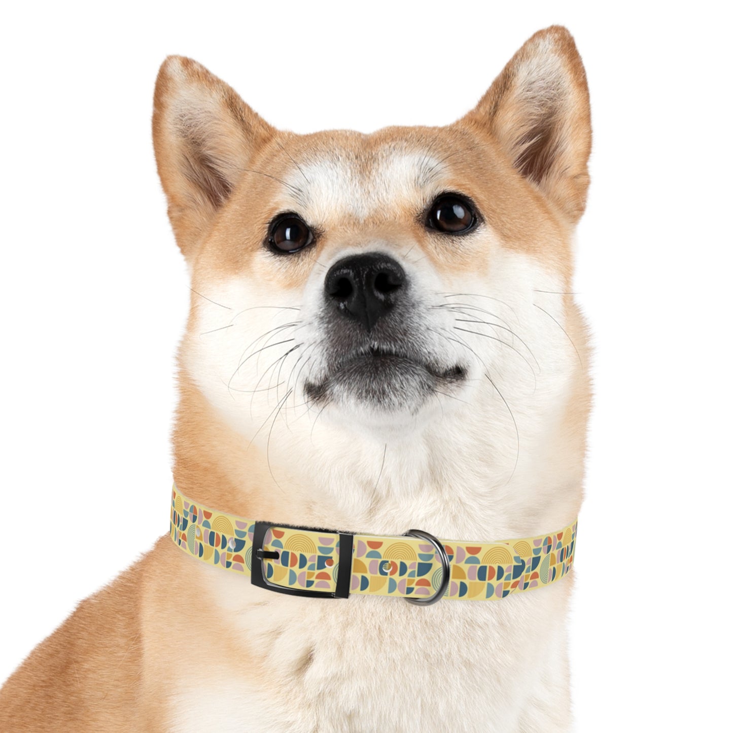 Atomic Pattern Dog Collar -Choose Buckle Finish